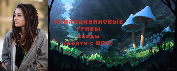 гидра Алзамай