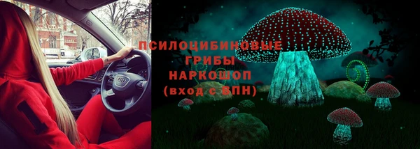 индика Алексеевка