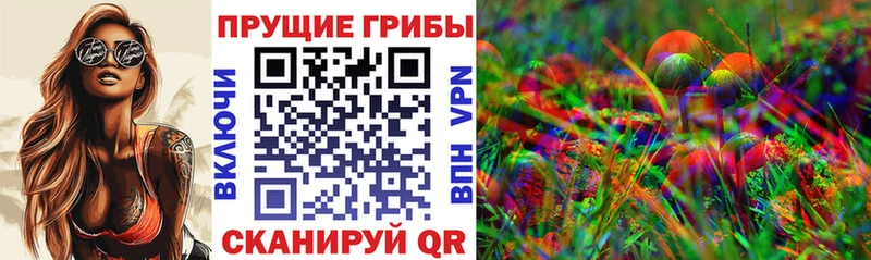 Псилоцибиновые грибы мухоморы Гусь-Хрустальный