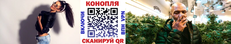 Канабис Bruce Banner  купить наркотики цена  Гусь-Хрустальный 